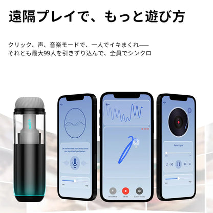 THE COCOON（コクーン）